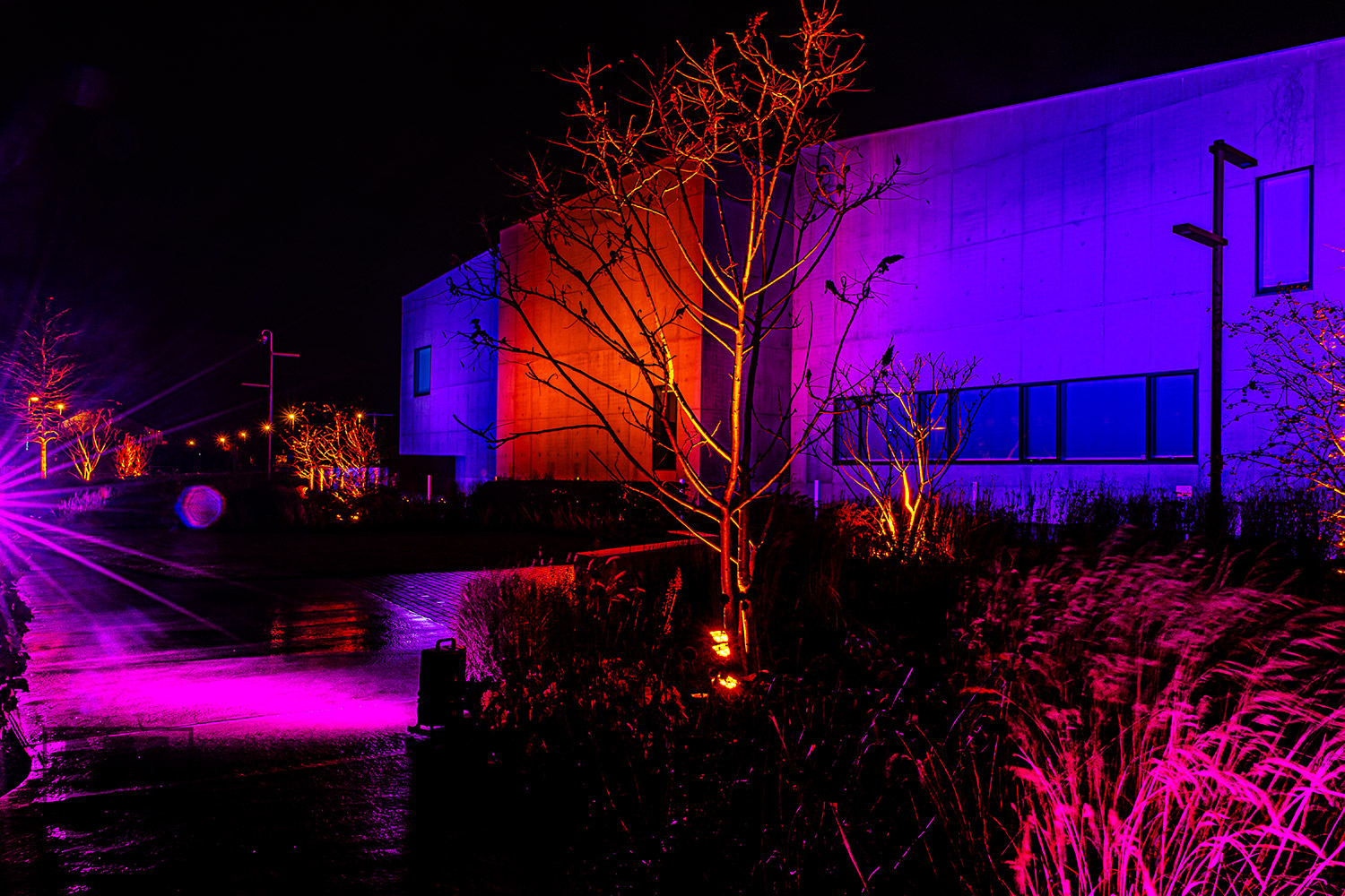 Wakefield%20Cathedral Lightup-Dec%202020-1